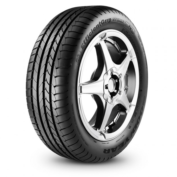 Pneu Efficientgrip
